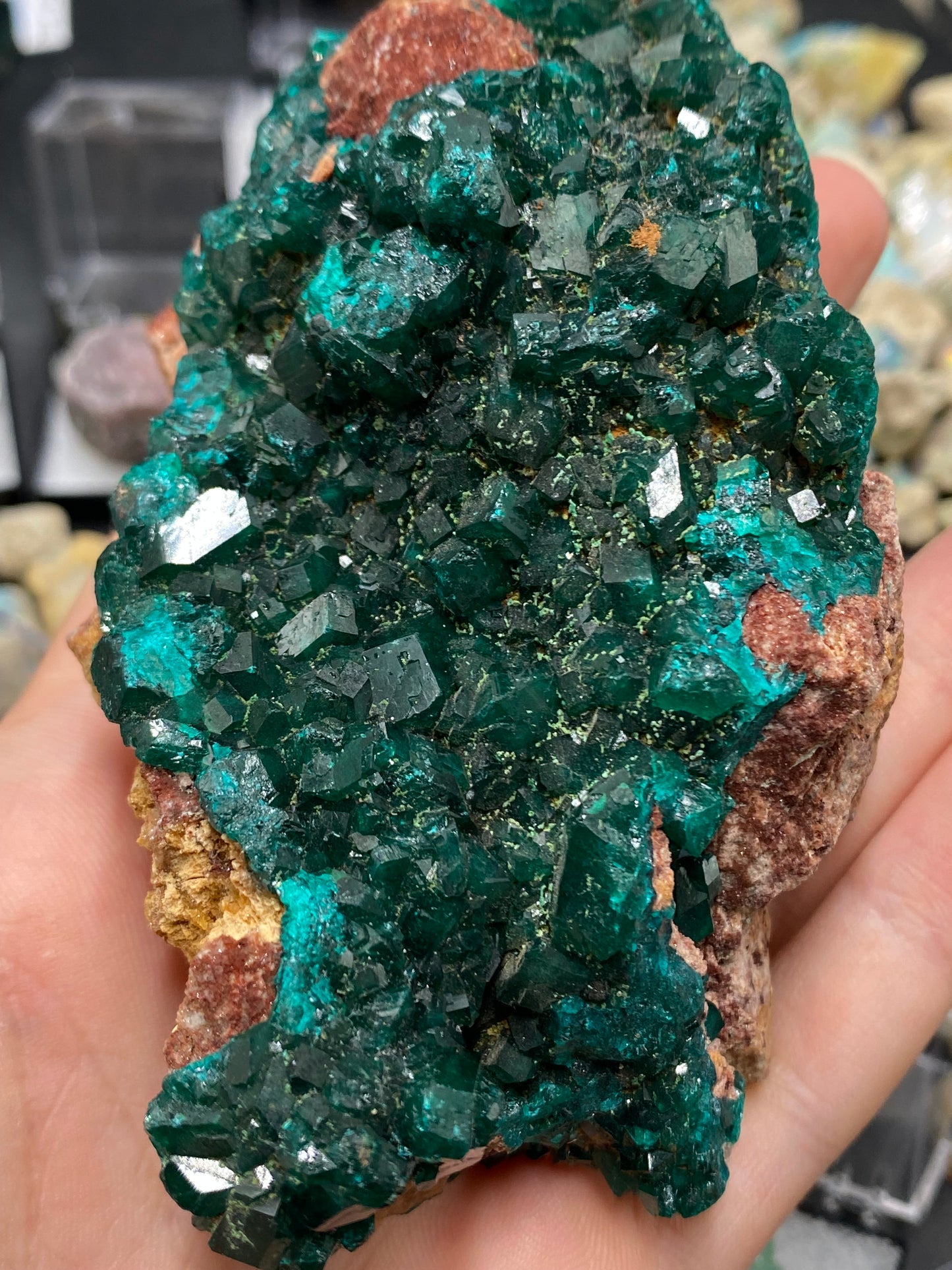 Large Dioptase