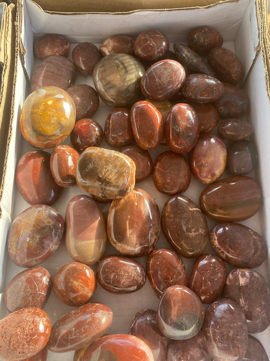 Petrified wood polish wholesale flat